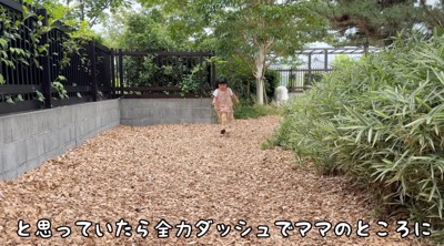 女性に向かって駆けてくる女の子