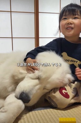 遊ぶ女の子に寄り添う