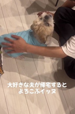 熱烈歓迎のワンコ