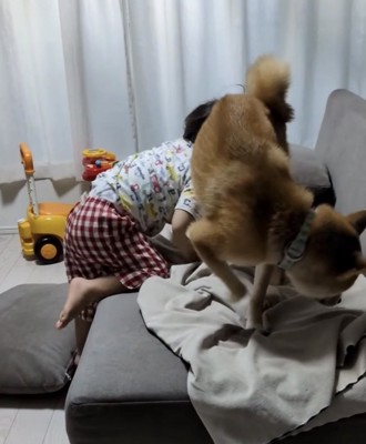 ソファに登る男の子