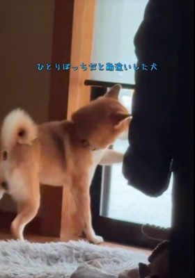 リクくんにハプニング発生