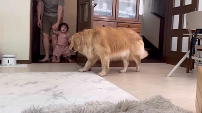 グルグル回って楽しみます