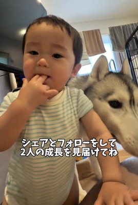 ぴったり並んで過ごす犬と赤ちゃん