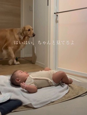 ちゃんと見てるよ