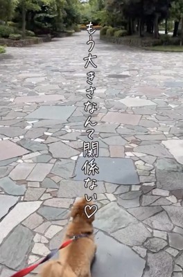 飼い主さん、愛情たっぷりです