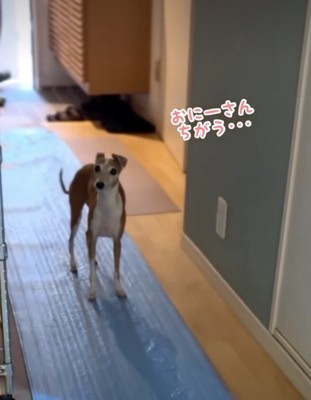 隠しきれない戸惑い