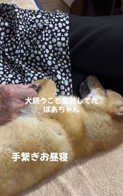 手を繋いで眠るこむぎちゃん