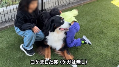 甥っ子くんが転倒すると…
