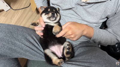 人と触れ合う練習中