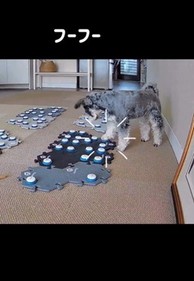 フーフーくんを気遣うモネちゃん9