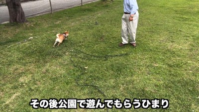 おじちゃんちが別宅！？