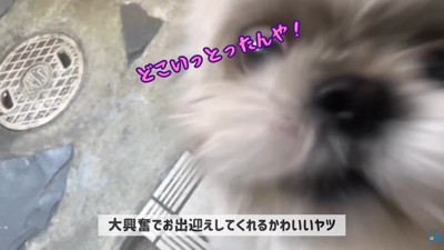 てんぽさんの熱烈歓迎5