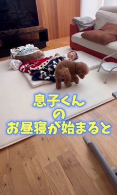 息子さんのお昼寝が始まると…