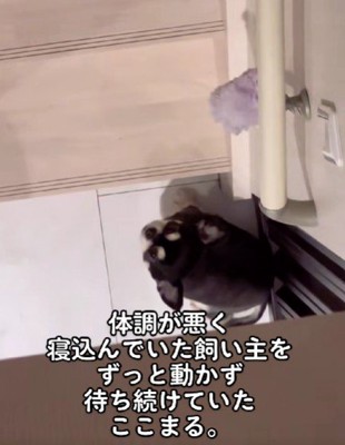 心配で待機していた