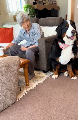 驚いたようなリンちゃん