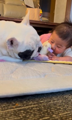 こぶし君と赤ちゃん5