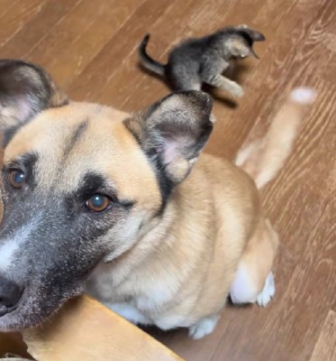 狙いを定めて…