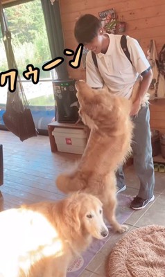 お兄ちゃん帰宅時のボスくん＆ルナちゃん7