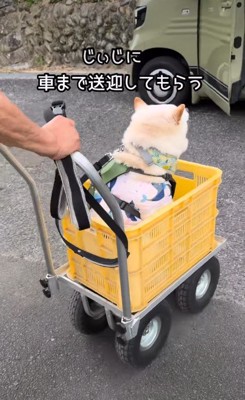 バギーに乗ったまま車へ