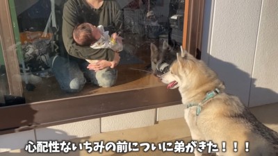 赤ちゃんの姿を見て満足♪