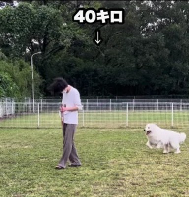 1年たったころ…