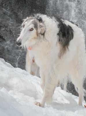 「ちょっと失礼」