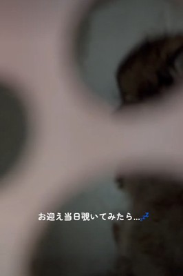 中の様子を確認してみたら…