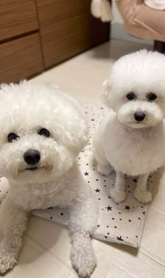 まめちゃん&まるちゃん2