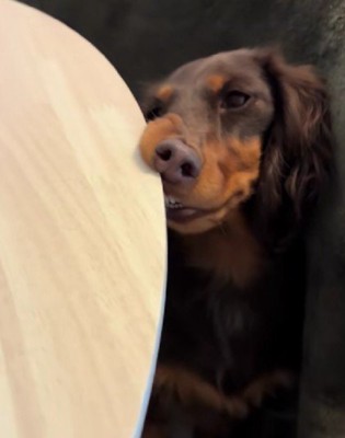 鼻が折れ曲がっていた