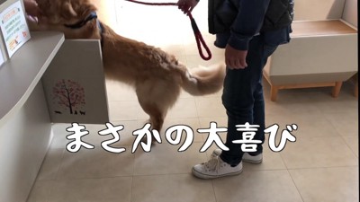 まさかの大喜び！