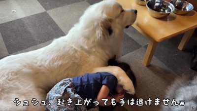 守っているつもりかも♡