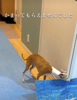 年に一度の楽しみが…