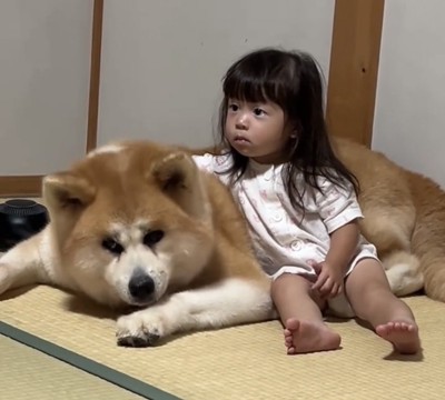 畳に顔を伏せる犬と子ども