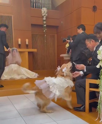 お父さんにベッタリ