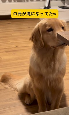 りんごをもらうモナちゃん＆ニコちゃん9