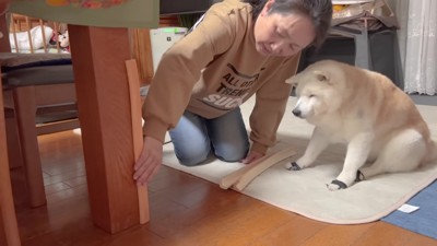 怪我防止のクッションを取付