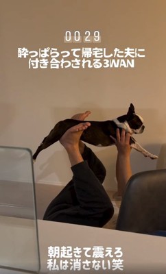 落ち着いてるおこわちゃん