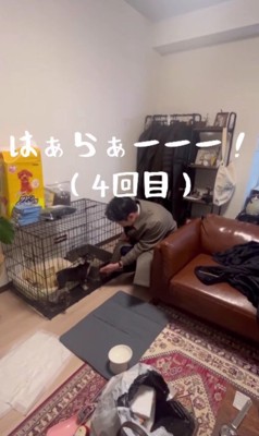 「ハァラァ~!」