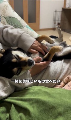 千幸ちゃんとご家族の1年間8