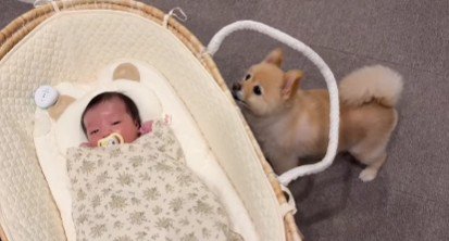 ちゃんと眠れてるかな?