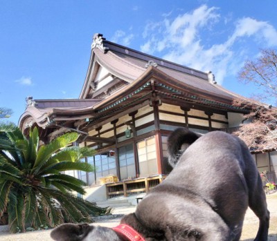 木蔭くんが上半身を低くして…