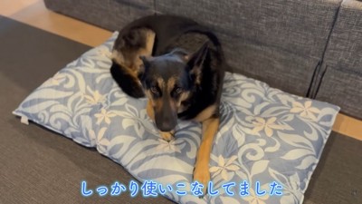 マットの上でリラックス