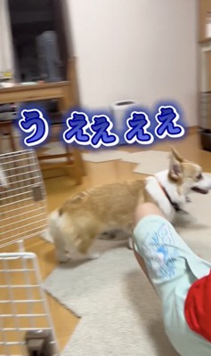 お尻を嗅がれてしまった!