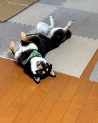「これは着たくない！！」