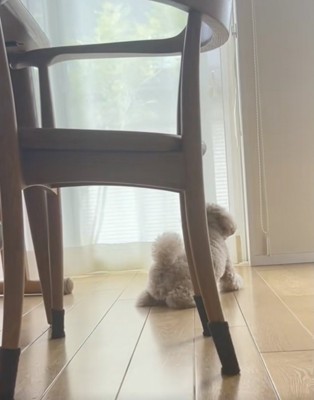 「もうだめ…」