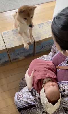 やっぱり気になる…