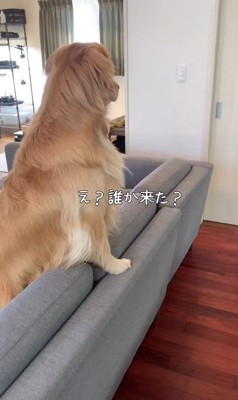 サンちゃんの熱烈歓迎