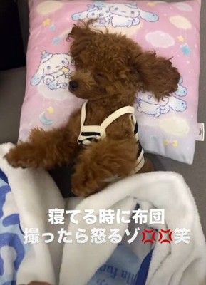 「安心できる場所はここ…」