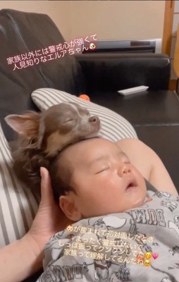 エルアちゃんと赤ちゃん5