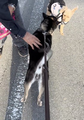 ちょっと引かれてる…？